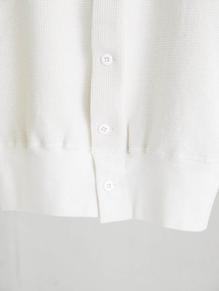 ゴーシュ,通販,ベスト